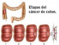 /album/fotogaleria/images-13-jpg/
